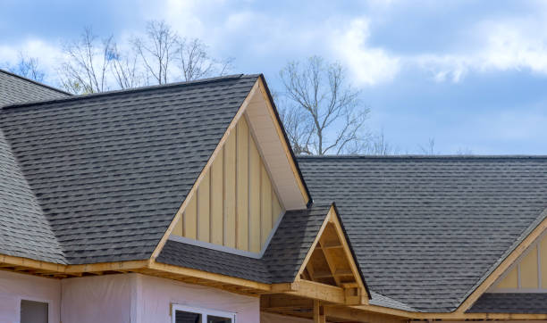 Best Rubber Roofing (EPDM, TPO)  in Fulton, IL
