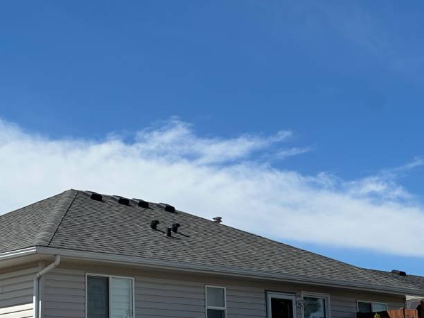 Best Roof Restoration  in Fulton, IL