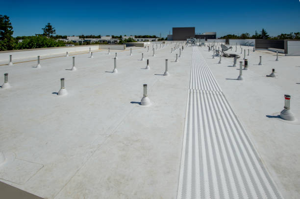 Best Roof Inspection  in Fulton, IL